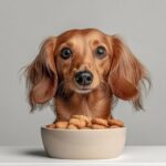 PromptPhoto of a (breed) peeking over the...