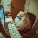 Prompt:CCTV like surveillance footage shows a [COLOR]...