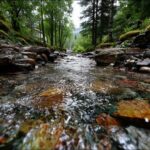 Stream brook water nature#AI #artificial Intelligence…
