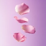 3-4 rose petals flying, pastel purple + pink background --v 6.1by natokung009#pr...