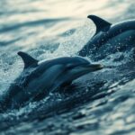 Dolphins mammals animals#AI #artificial Intelligence…