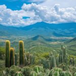 Mexico Latin America nature architecture#AI #artificial Intelligence…