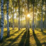 Birches forest trees seasons#AI #artificial Intelligence…