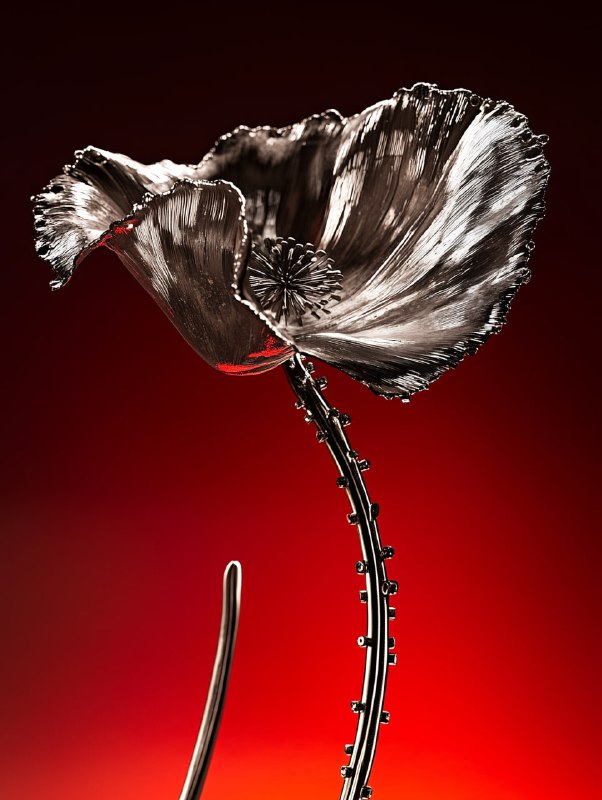 Jjf5qav5uPzBKzYViEffrJeK-AajsJgqnMVJCqvI7ieG-XweaDHwtgwKnuirI1g7pU1BI8OthCcJa5spL4c5GA4Lbp-8ZvbVf8ZK.jpeg A hyperrealistic photo of a poppy flower made of metal. The flower is very open ...