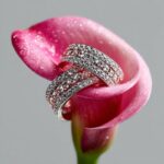 prompt:a close up studio photo of a...