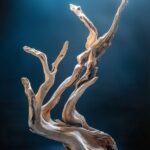  Подборка слов на сухие коряги в сценах product display. Промптики будут в комме...