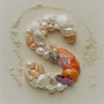 Prompttop down flatlay wide angled shot of...