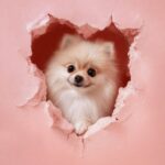 Prompt:A cute [ANIMAL/BREED] peeks out from a...