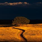 Muestra una imagen panorámica al atardecer, ambientada en fredericksburg, Texas,...