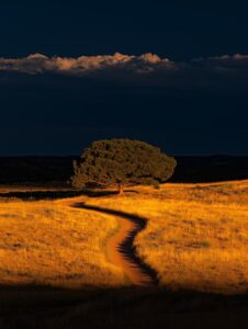Muestra una imagen panorámica al atardecer, ambientada en fredericksburg, Texas,...