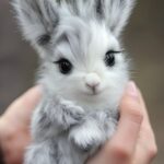 The cutest miniature donkey you've ever seen, with white hair, big eyes and long...