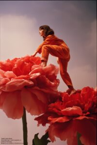 A photograph of an advertisement for "Sophie Marceau, Calvin Klein, and Neide St...