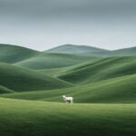 Prompt:minimalistic landscape of smooth green rolling hills...