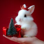 С наступающим!Pure red gradient background [Long haired white rabbit baby], perc...