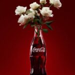 Prompt:[BRAND NAME] [PRODUCT TYPE] used as a...