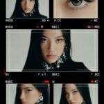 Prompt:A cinematic collage of six close up...