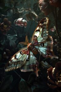Detailed matte painting: enormous Madagascan moon moth_species moth: with dark f...