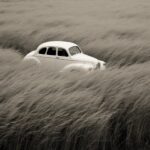 a white car on grass in black and white, in the style of the new fauves, perform...