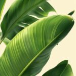 Event poster design, LOHAS, health, sustainable development, nature, minimalism,...