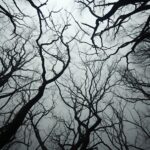 tangled in trees by naomi yanin, in the style of monochromatic symmetry, jan van...