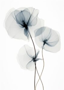 small minimalist ethereal dark botany x-ray photo My natural minimalist artwork ...