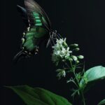 An editorial fashionable minimalistic photography of a lovely surreal extremely ...