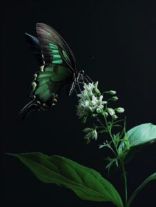 An editorial fashionable minimalistic photography of a lovely surreal extremely ...