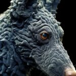 Super - Resolution Electron Microscope Shot of the Kelpie by Lisbeth Zwerger --s...