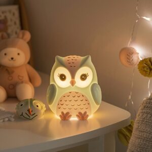 a night light in the form of a cute owl on a table for a children's room in soft...