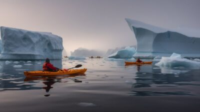 Kayaks navigating in the middle of icebergs, back of whales visible in backgroun...