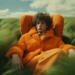 a young man wearing a green outfit, sitting in an orange fur chair, in high gras...