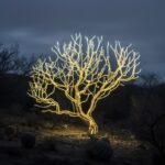 cactus artwork in the style of light installations, ethereal trees, national geo...