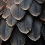 a macro portrait of the feathers of an an stone eagle, capturing the intricate p...