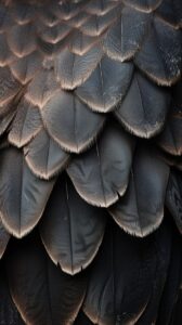 a macro portrait of the feathers of an an stone eagle, capturing the intricate p...