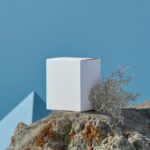 one white cardboard mockup boxes on a rock with lichen next to it, in the style ...
