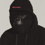 SUPREME, BAPING APE style, hoodie, "PNG Universe" written --personalize hywvz4y ...