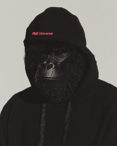 SUPREME, BAPING APE style, hoodie, "PNG Universe" written --personalize hywvz4y ...