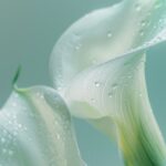 Добавил хэштег #Product_display с промптами для генерации фонов рекламы товаров....