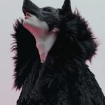 a man with a transparent glass head of a wolf, soft pink, body with a cape made ...