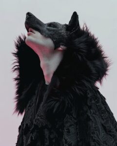 a man with a transparent glass head of a wolf, soft pink, body with a cape made ...