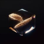 --s 250 --q 2remix mode (no text prompt) by Jeremy Alleaume...