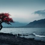 High contrast color photograph, Surreal Cinematic Minimalistic Shot of the Lahai...