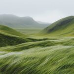 editorial minimalist landscape photo of icelandic meadows in the wind on rolling...