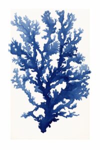 a minimalistic royal blue cyanotype print of coral white background  --ar 2:3by ...
