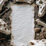 white clear blank long small rectangle papers on ground, diferent directions, su...