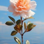 gardenia wallpapers, A gardenia plant gifted as a symbol of secret love, its blo...