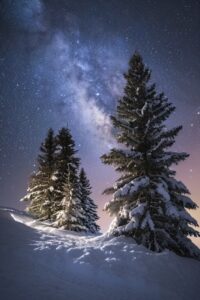 Прощай, зима?snowy alpine spruce trees at the mountain top, nighttime, swiss alp...