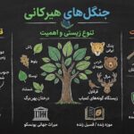 استایل اینفوگرافیکNano Banana Pro create an infographic based  on this link : [L...