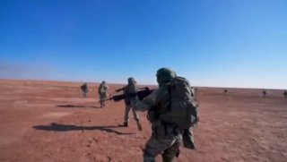 تلویزیون ایران:شیرهای ایران گرسنه هستند و منتظر...