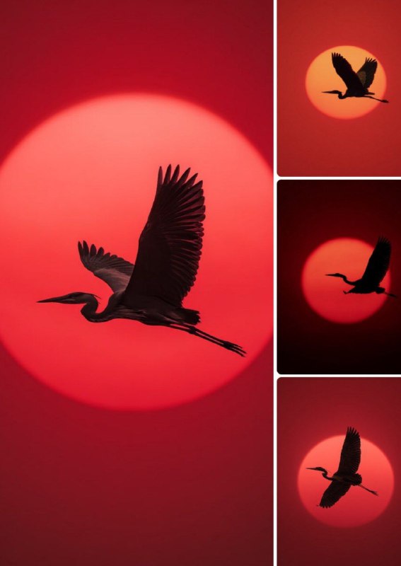 Промпт:Wide shot long distance framing frontal angle...